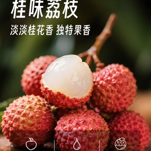京觅桂味荔枝4.5 - 5斤装，颗颗精选