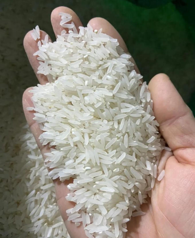 十月稻田大米