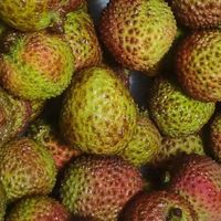 荔枝降价后的甜蜜狂欢：实现果肉自由的畅快滋味
