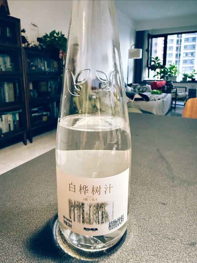 白桦树汁我替大家尝过了，是大自然的味道
