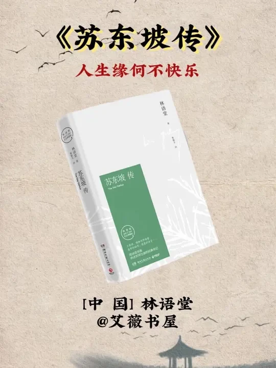 人生缘何不快乐,只因未读苏东坡。#洒脱 #苏东坡 #人生 #读书 #苏东坡传