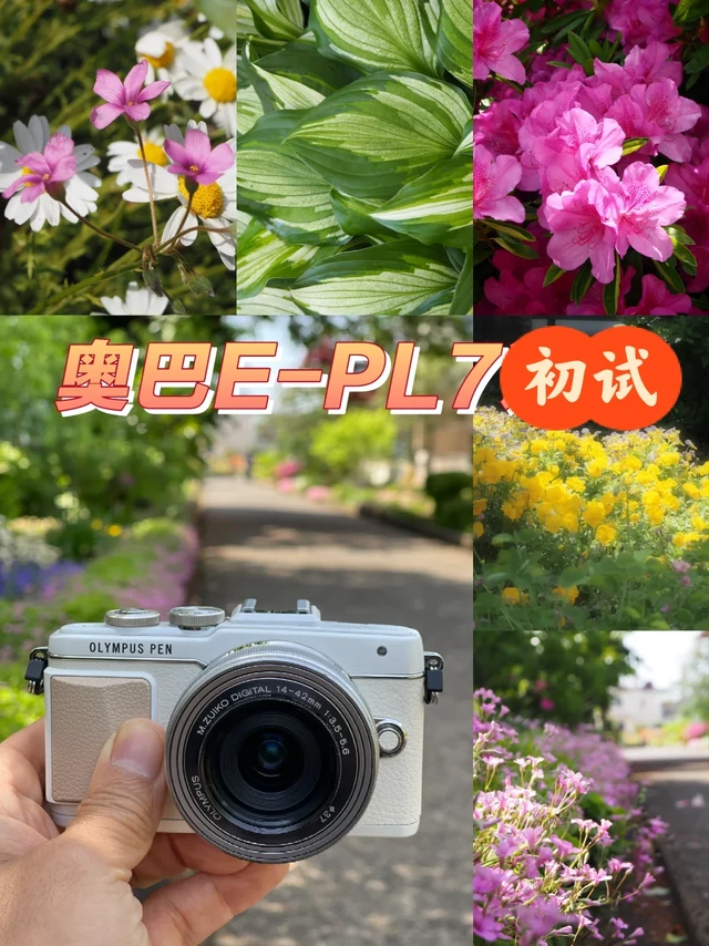 初试奥林巴斯PEN Lite E-PL7+14-42mm饼干头