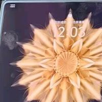 荣耀Magic V2 折叠屏 零风险调光护眼双屏 骁龙8Gen2领先版