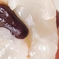 荔枝价格跳水，实现 “桂味自由” 啦