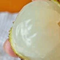 荔枝：夏日鲜甜的美学与味觉