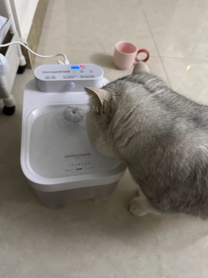 徕本宠物智能饮水机