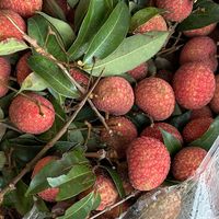 荔枝价格暴跌七成，说说我的开车体验