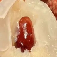 夏日限定：荔枝的甜蜜与文化