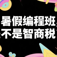 少儿编程班是“智商税”？理性避坑指南与家庭学习新方案
