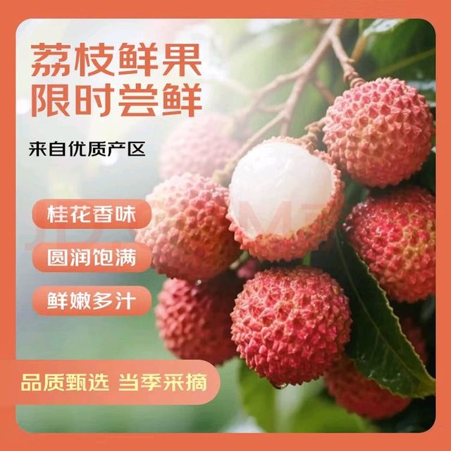 广东桂味荔枝新鲜到家体验