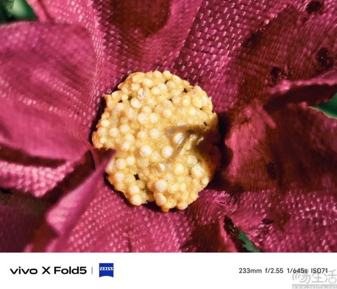 vivo X Fold 5评测：更薄、更亲民，但确实更强了