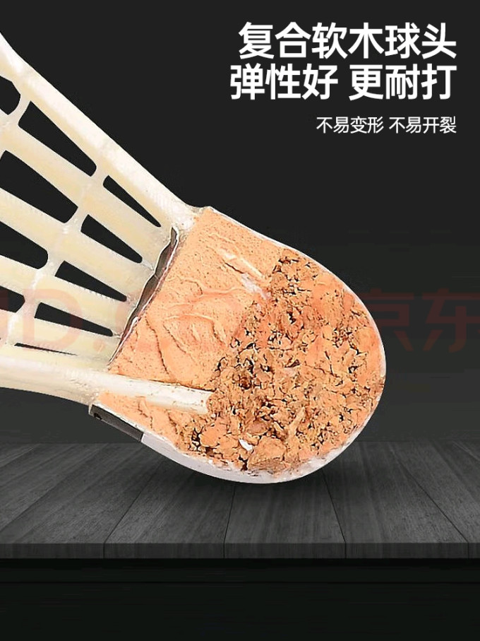 亚狮龙羽毛球