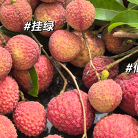 荔枝价崩，谁在哭泣？