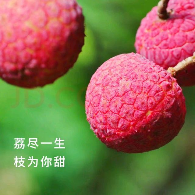 空运次日达，新鲜荔枝的极致享受