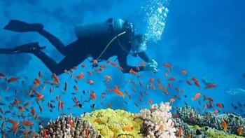 水上运动初体验：冲浪、皮划艇、潜水，哪个更让你心跳加速？