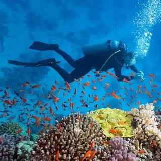 水上运动初体验：冲浪、皮划艇、潜水，哪个更让你心跳加速？