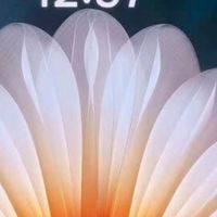 OPPO Find N5 16GB+512GB 缎黑 超薄机身 超长续航冰川电池 骁龙8