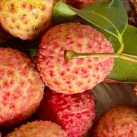 荔枝价格暴跌，荔枝想吃就吃