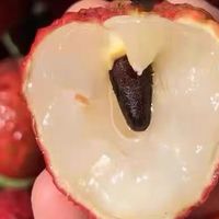 荔枝自由实现啦！挑荔枝秘籍奉上