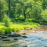 蚊子最大的天敌不是蚊香？5个好方法让你整晚开窗无忧