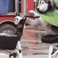 打工狗（牛马）在强对流天气下的骑行防护