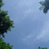 苏泊尔304不锈钢大单槽水槽，真好用？