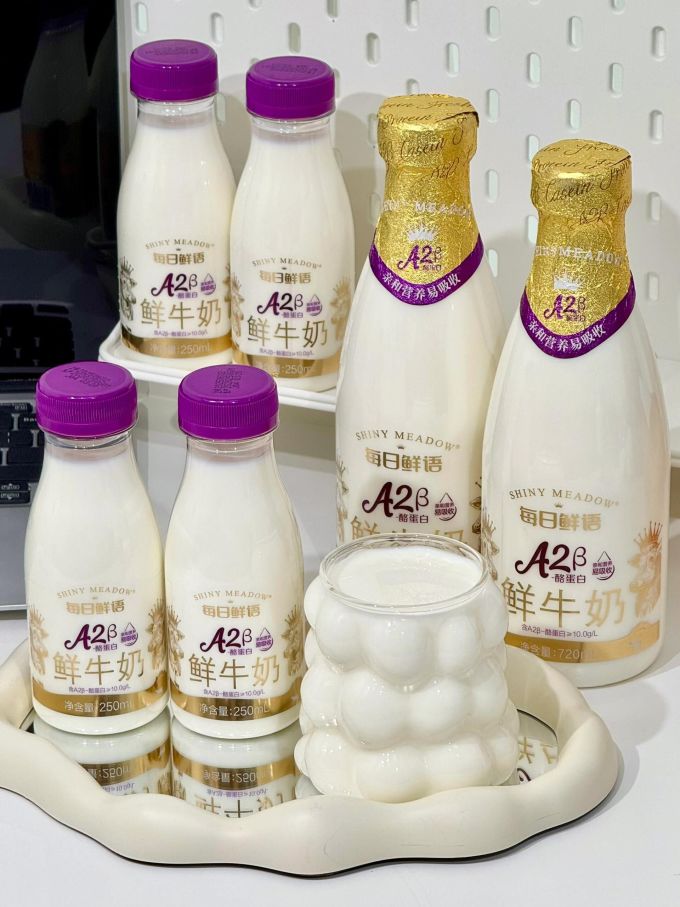 每日鲜语奶类制品