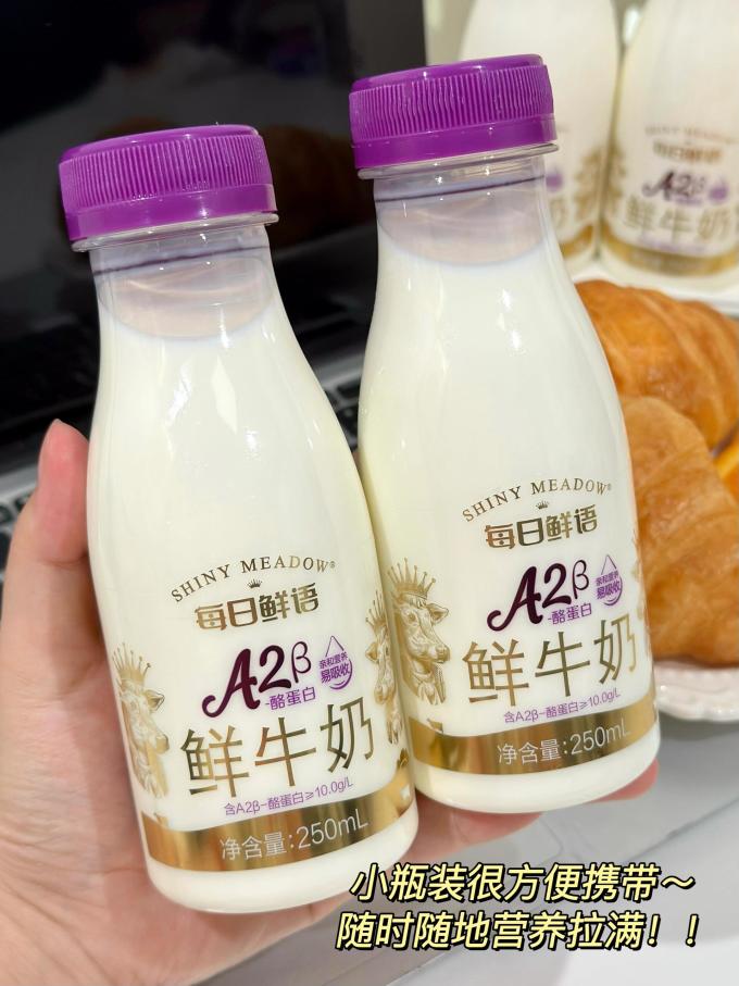 每日鲜语奶类制品