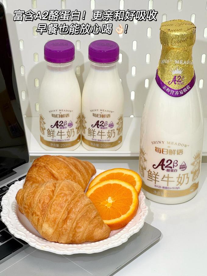 每日鲜语奶类制品
