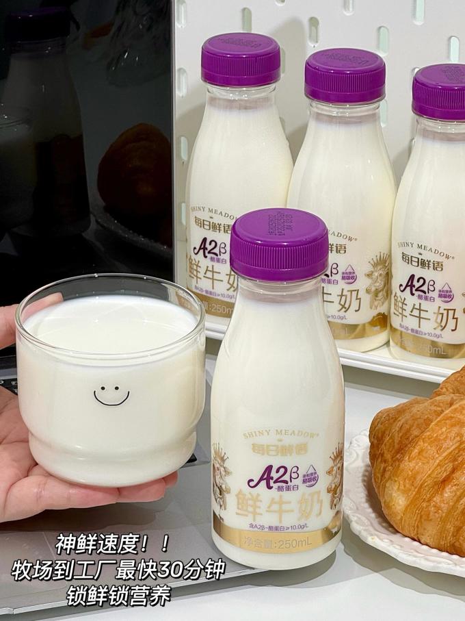 每日鲜语奶类制品