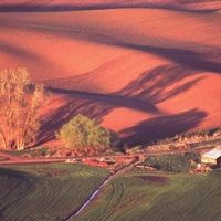 洗衣液选啥？妈妈壹选留香又干净！