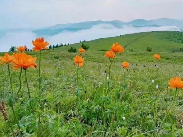 7.12-7.13丨京畿10峰丨坝上避暑：东猴顶&桦皮岭