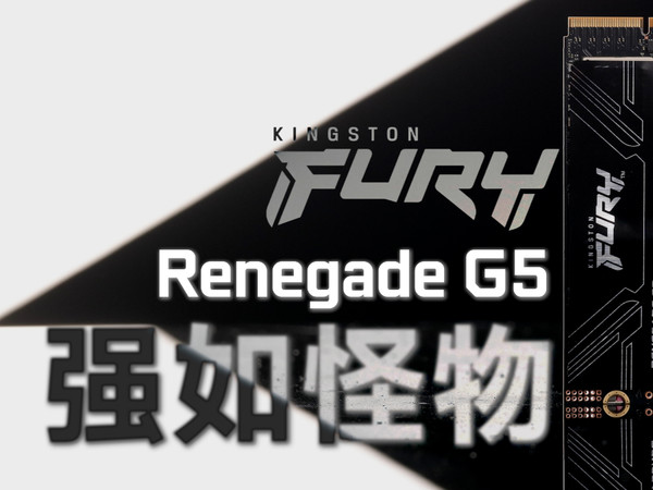 FURY Renegade G5 固态硬盘测评【老弟】