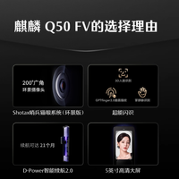 德施曼 Q50FV 智能锁：开启智慧生活新方式