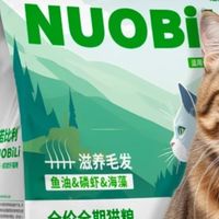 猫粮哪个牌子好又安全又便宜？测评出的猫粮排行榜第一名