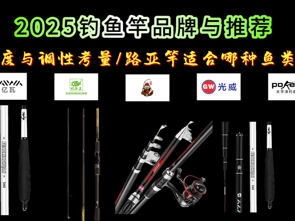 钓鱼竿应该怎么选？路亚竿适合哪种鱼类？钓鱼竿的强度与调性如何考量？一个视频教你了解清楚！