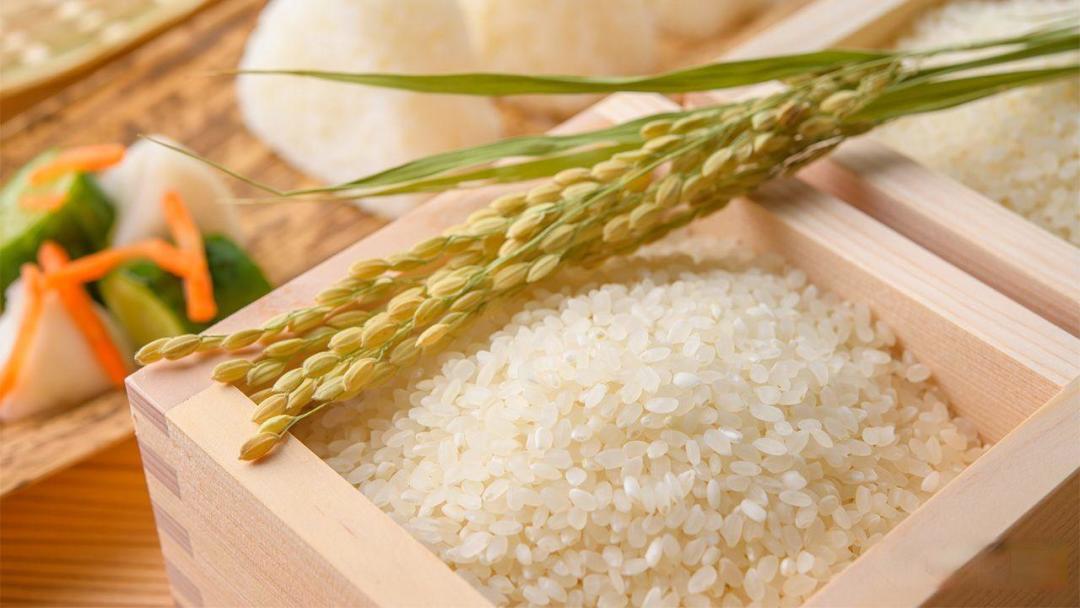 天价米价飙升98%背后:日本饲料米转主食暴露半个世纪政策困局