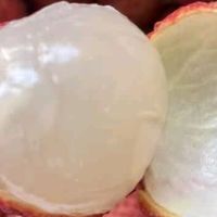 京鲜生广西桂味荔枝测评：源自源头的鲜甜滋味