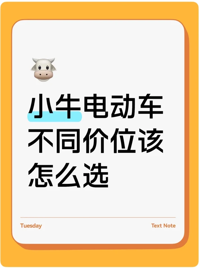 小牛个价位推荐
