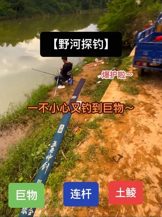 新手探钓第九天!#户外钓鱼 #沃鼎王者神剑三代 #悠漾青春