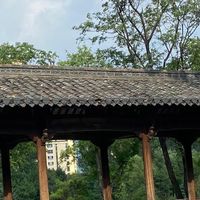 揭秘：斯凯奇童鞋为何成爆款