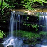 自然清凉，老席匠芫藤席真好用！