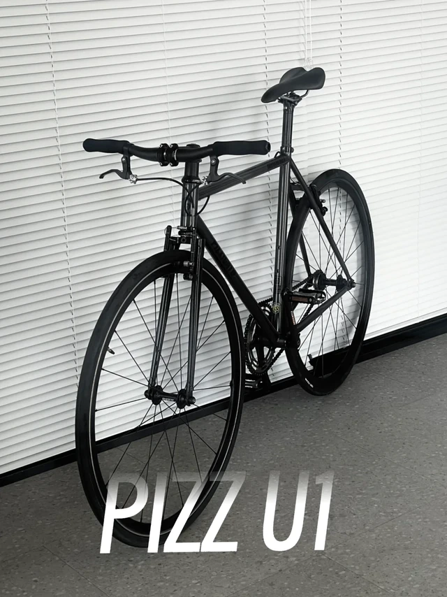 Pizz U1 多用途复古钢架自行车