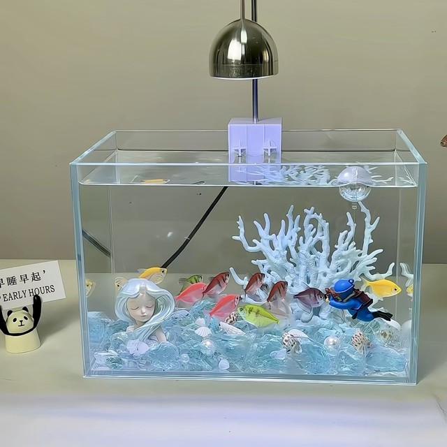 新手养鱼抄作业！30cm 神仙小缸造景 + 养鱼攻略
