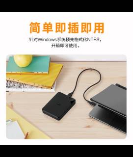 西部数据1TB硬盘：解救内存，高效存储