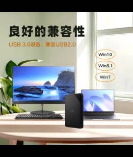 西部数据1TB硬盘：解救内存，高效存储