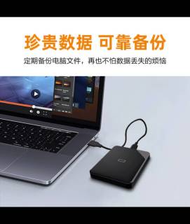 西部数据1TB硬盘：解救内存，高效存储