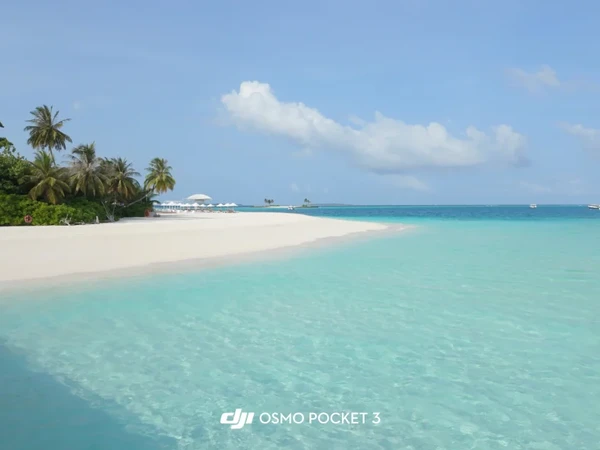 芙拉瓦西旅行记