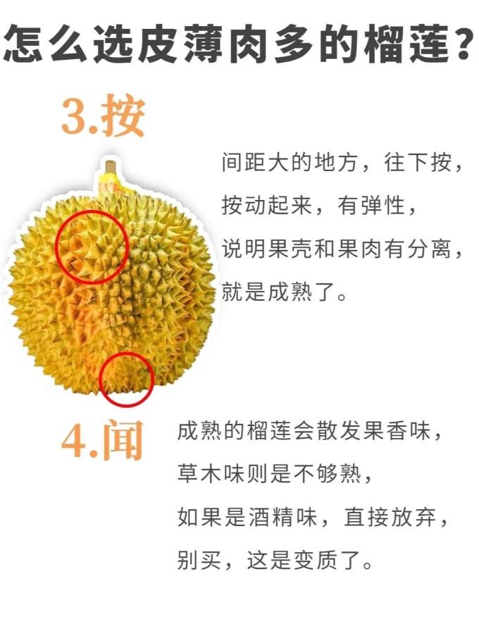 京鲜生榴莲