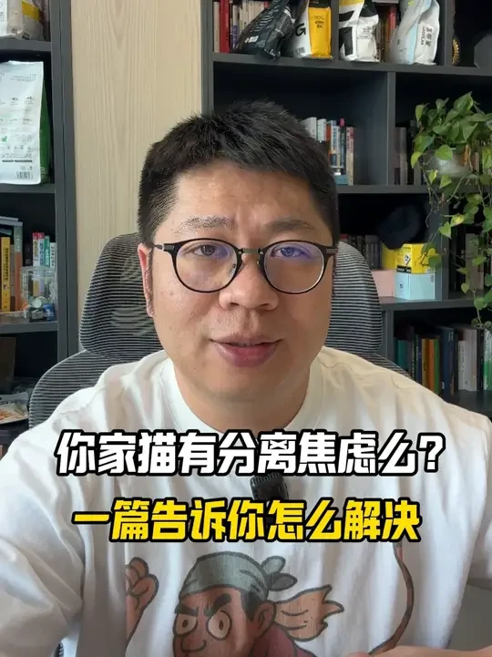 你家猫有分离焦虑么？一篇告诉你怎么解决 #猫咪分离焦虑症 #我和我的猫 #留守猫咪 #养猫经验分享 #万物可爱计划